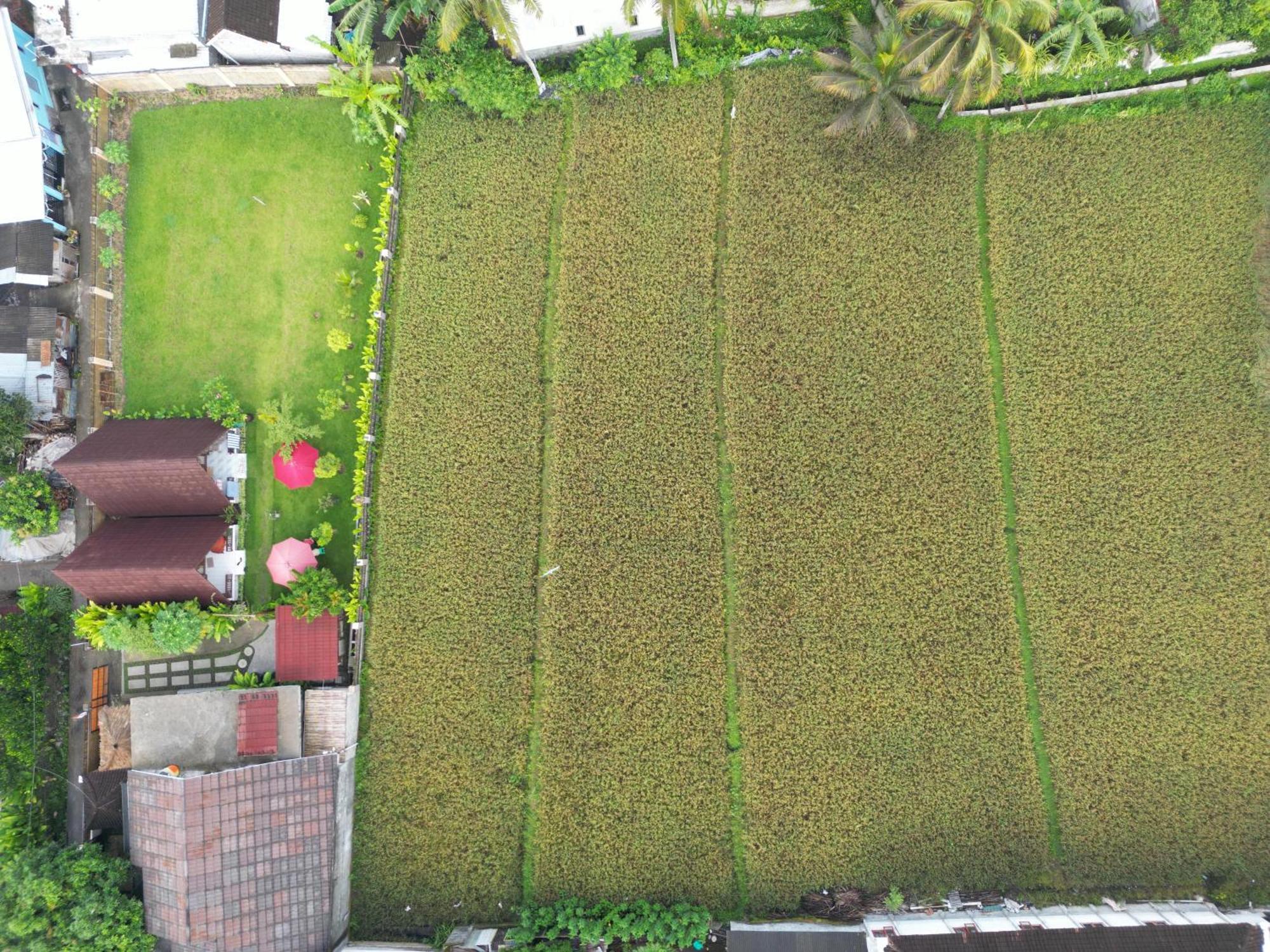 D' Carasti Bungalow Masbagik 外观 照片